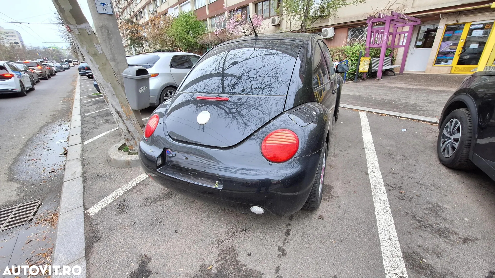 Volkswagen Beetle - 11