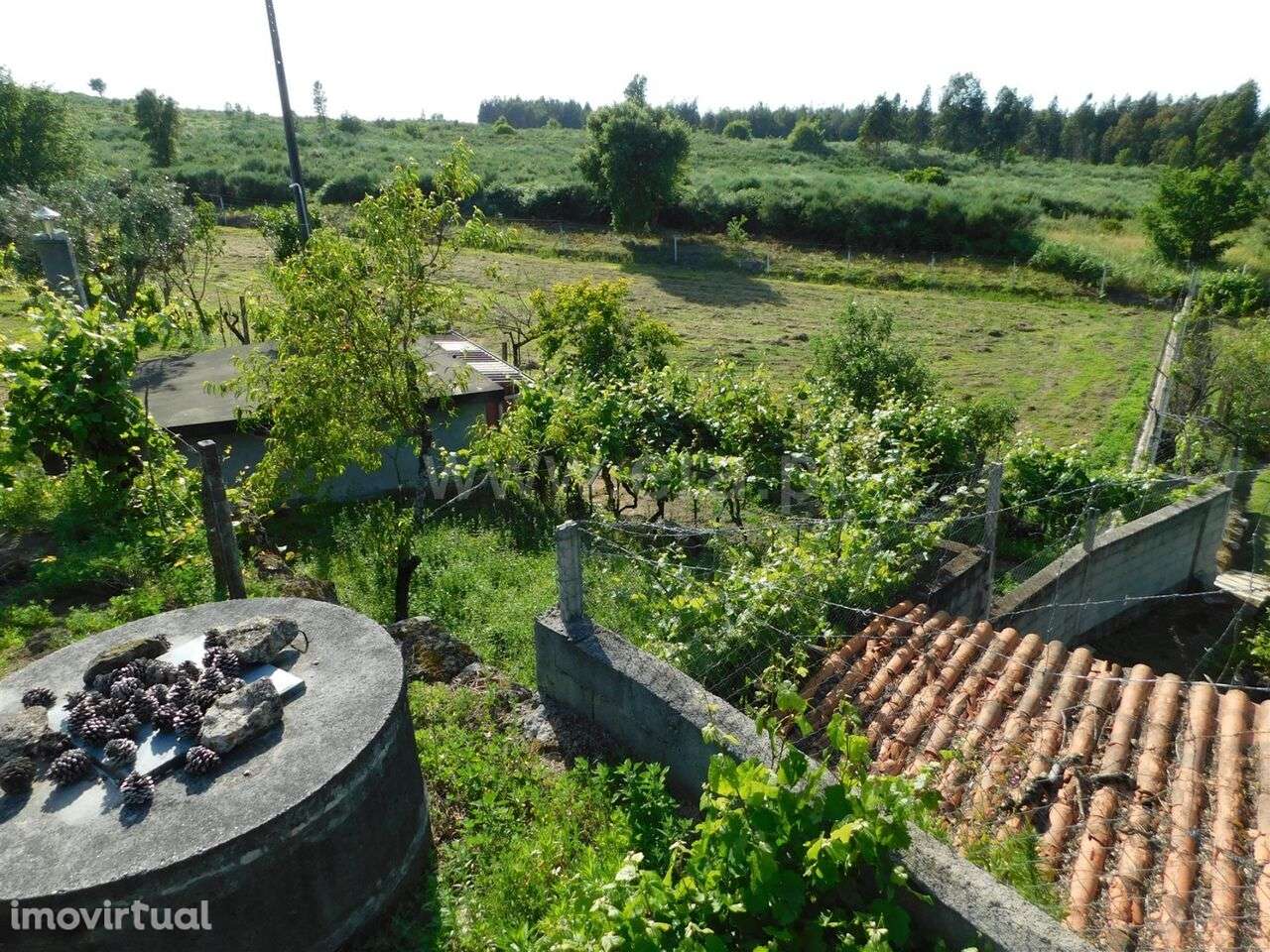 Quintinha / Seia, Paranhos - Grande imagem: 4/17