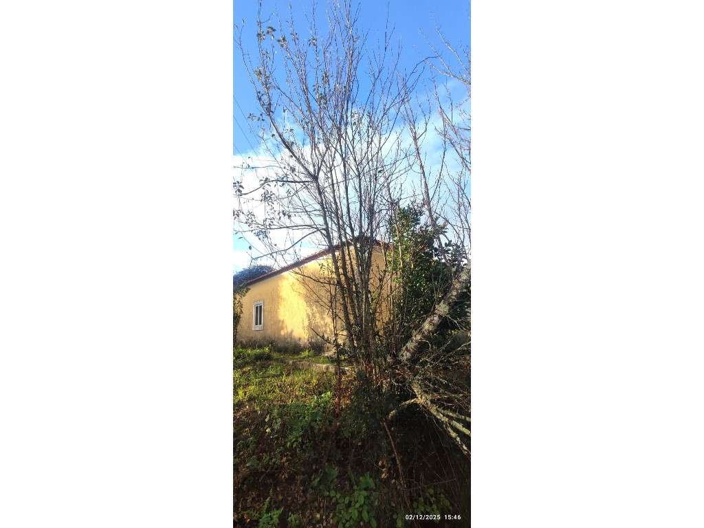 Casa para restauro com 6000m2 de terreno, localização única entre a... - Grande imagem: 2/22