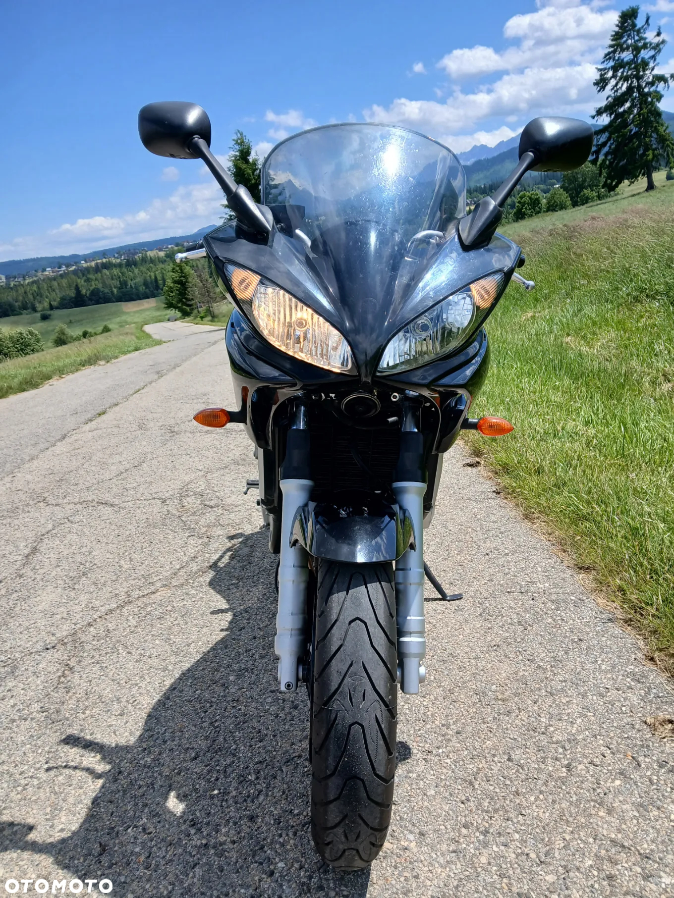 Yamaha FZ6 - 15