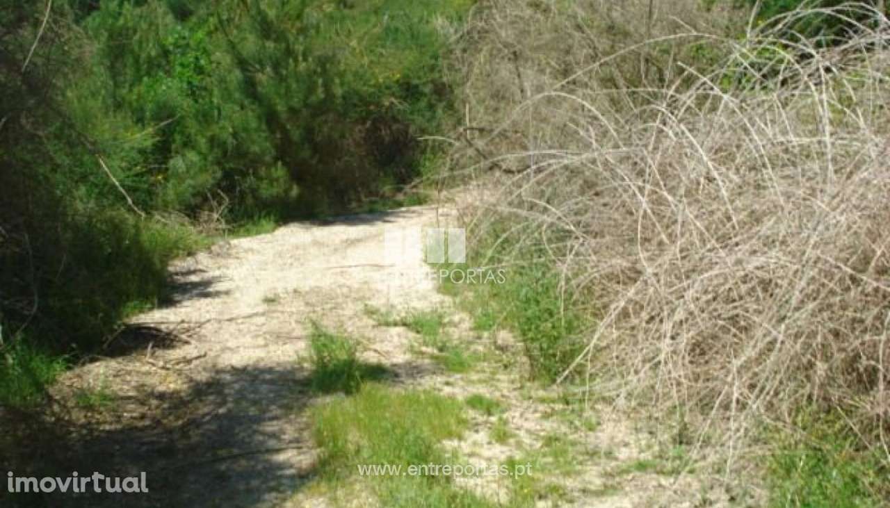 Venda Terreno, junto à estrada, Santa Cruz do Douro, Baião - Grande imagem: 4/8