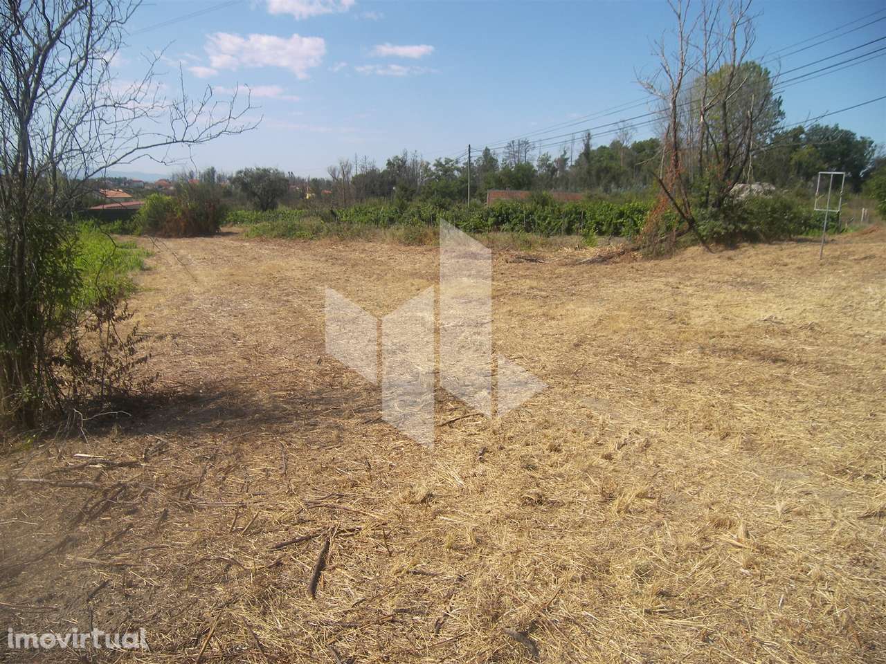 Terreno Urbano Santa Comba Dão - Grande imagem: 2/4