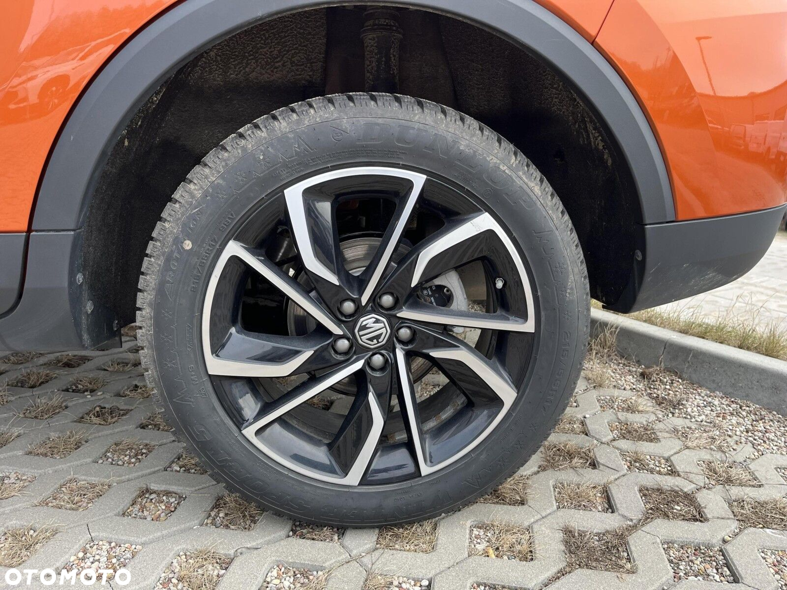 MG ZS - 19