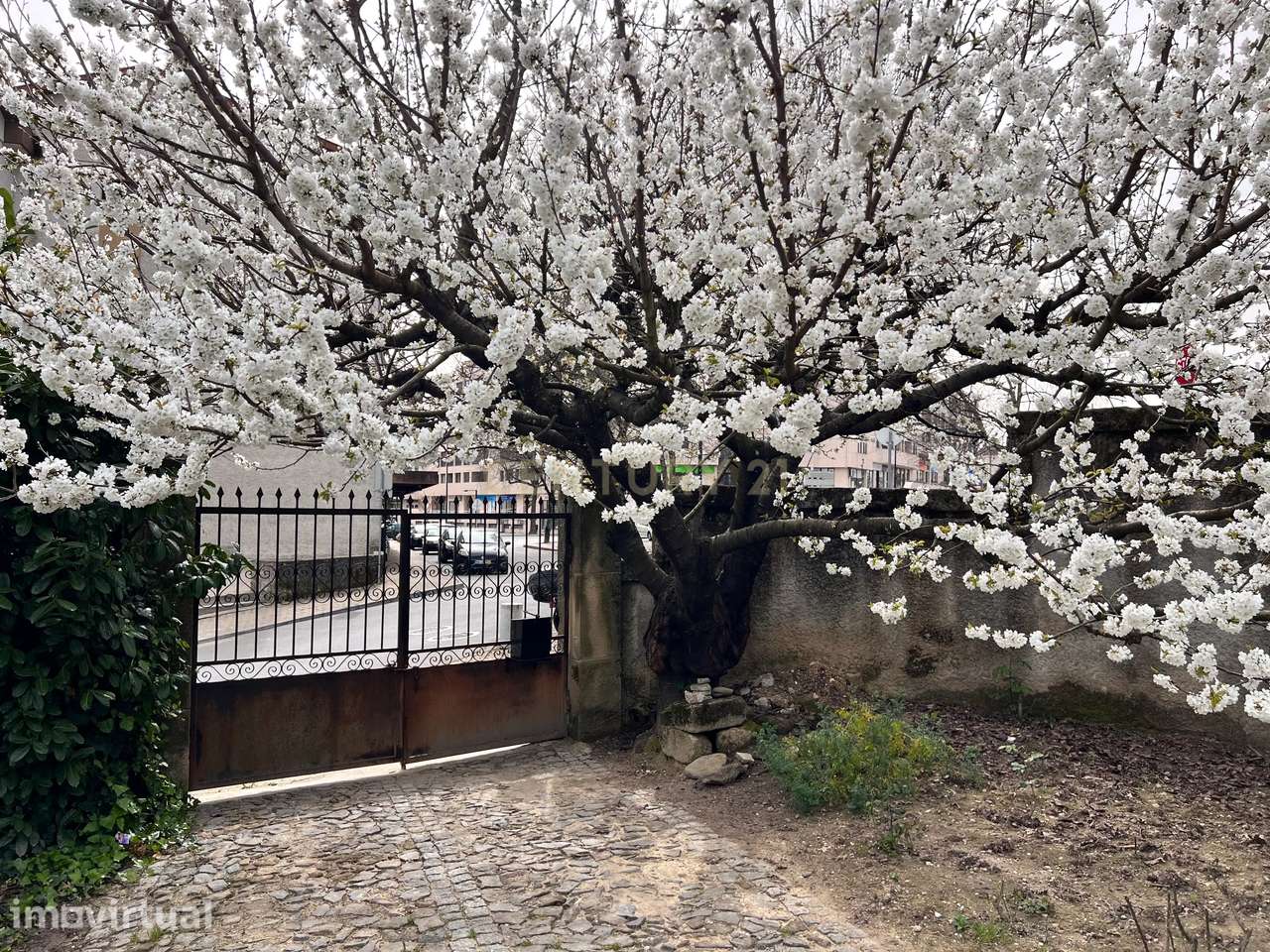 Lote urbano de 1440 metros quadrados situado no coração de Vila Real. - Grande imagem: 2/11