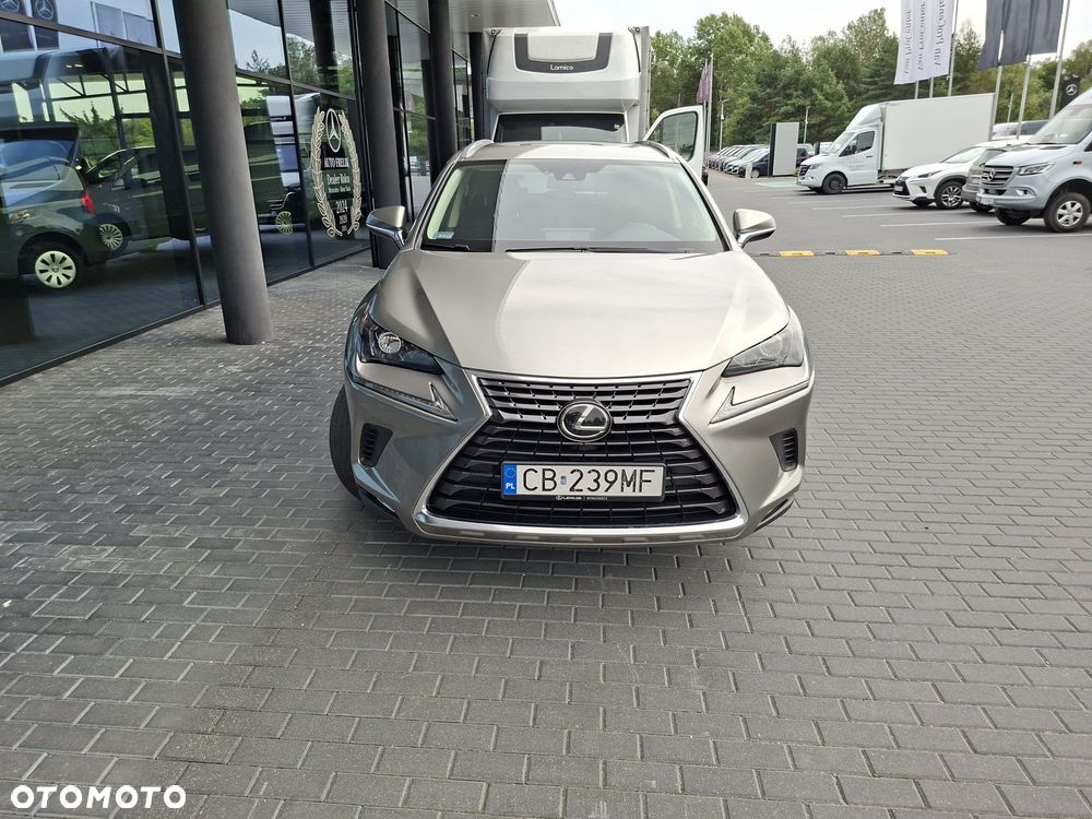 Lexus NX 300 Business Edition AWD - 2