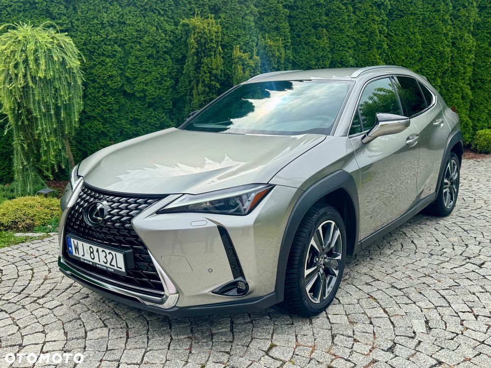 Lexus UX 250h F Sport 2WD - 3