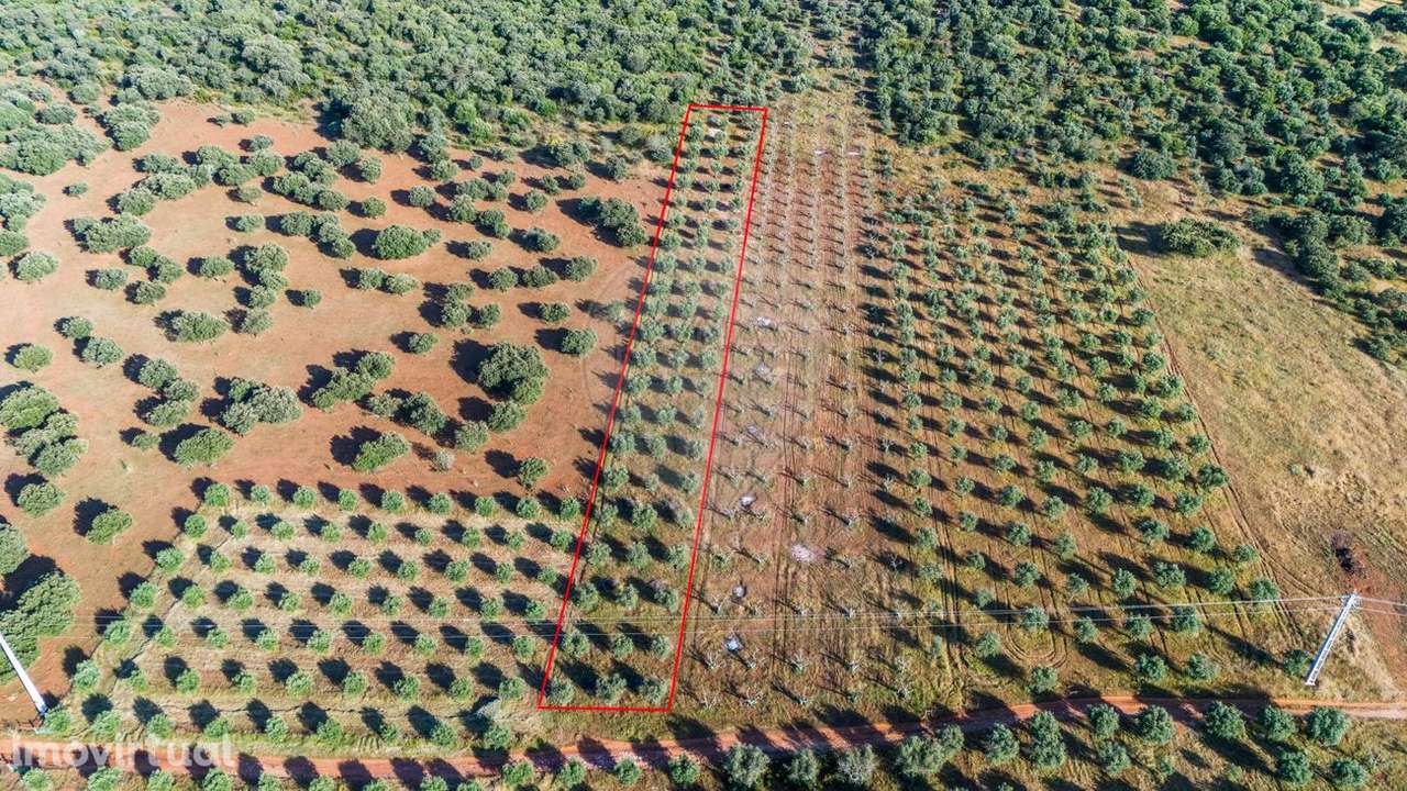 Terreno  para venda - Grande imagem: 2/4