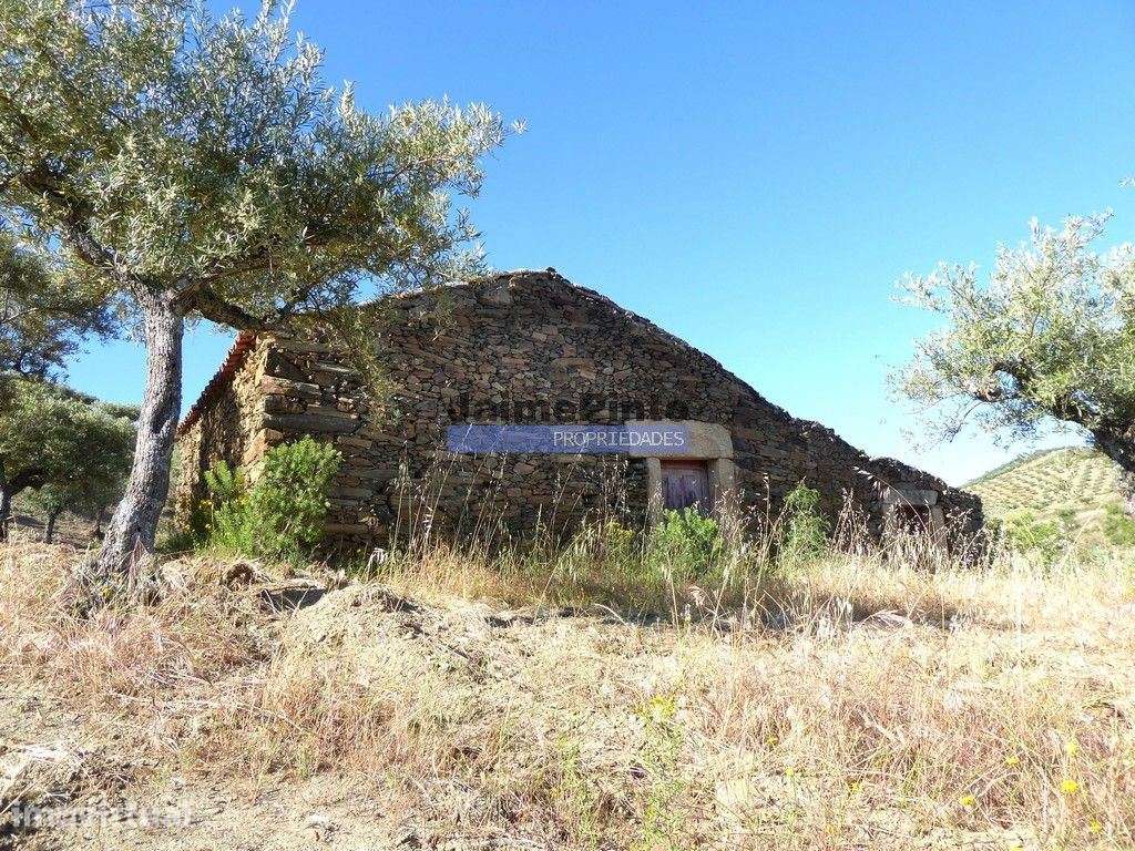 11ha olival amendoal ruína. Barca D'Alva, F.C. Rodrigo. - Grande imagem: 4/9