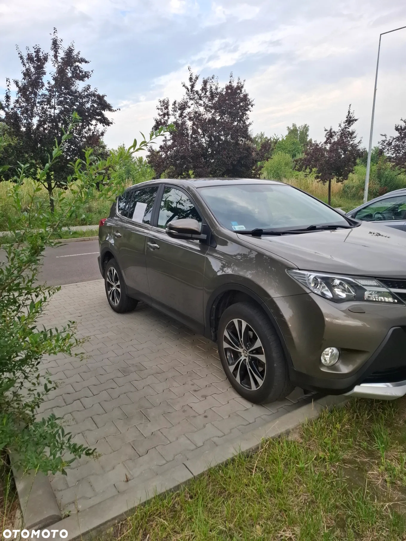 Toyota RAV4 2.0 D-4D Premium - 13