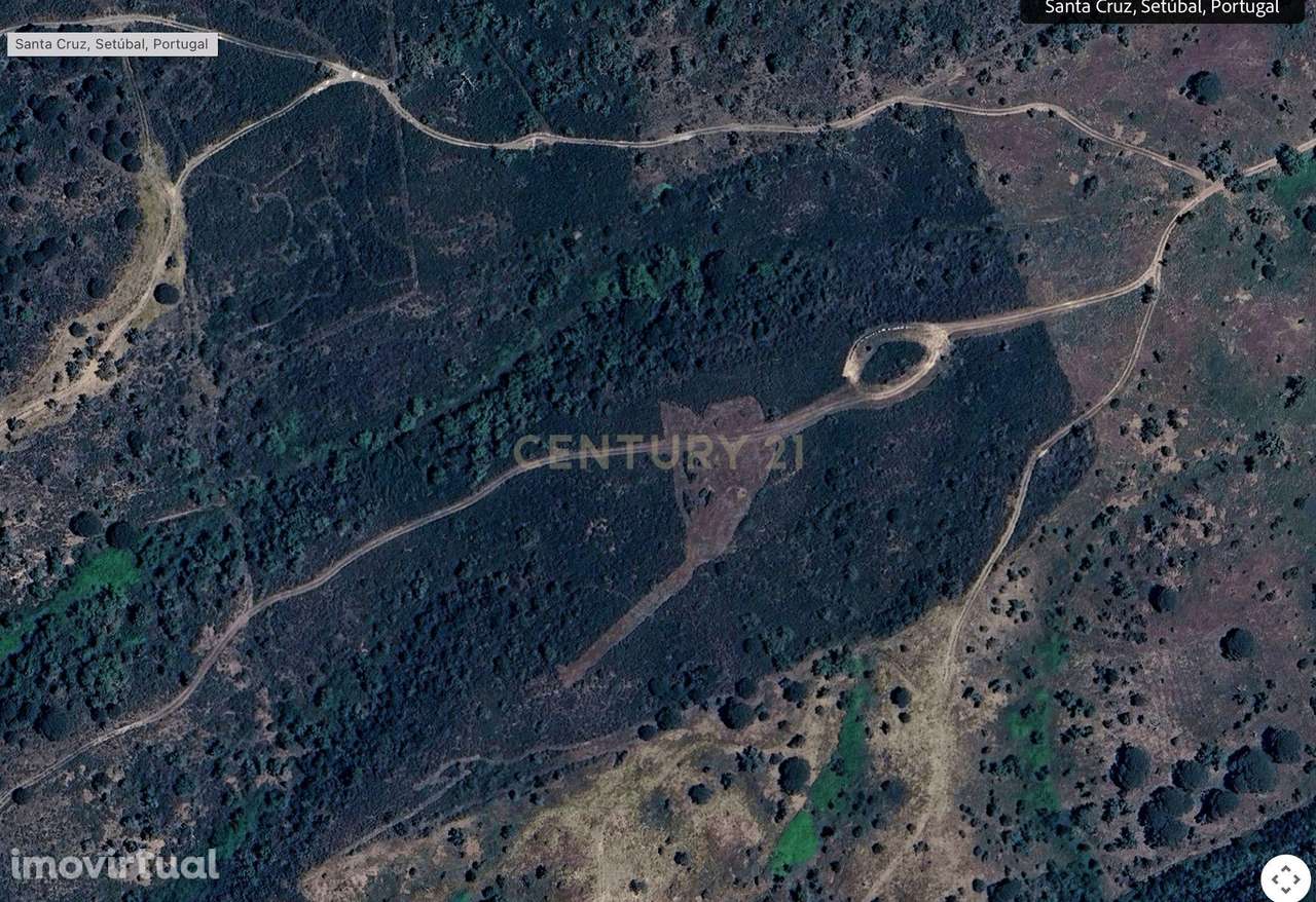 Terreno, 57 000 m², Santiago do Cacém, Santa Cruz e São Bartolomeu da Serra - Grande imagem: 2/7