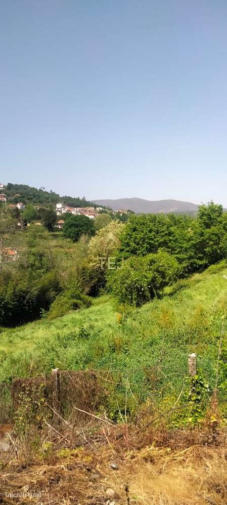 MORADIA  Á VENDA LUGAR DE PONTE  SAÕ PEDRO DO SUL - Grande imagem: 5/20