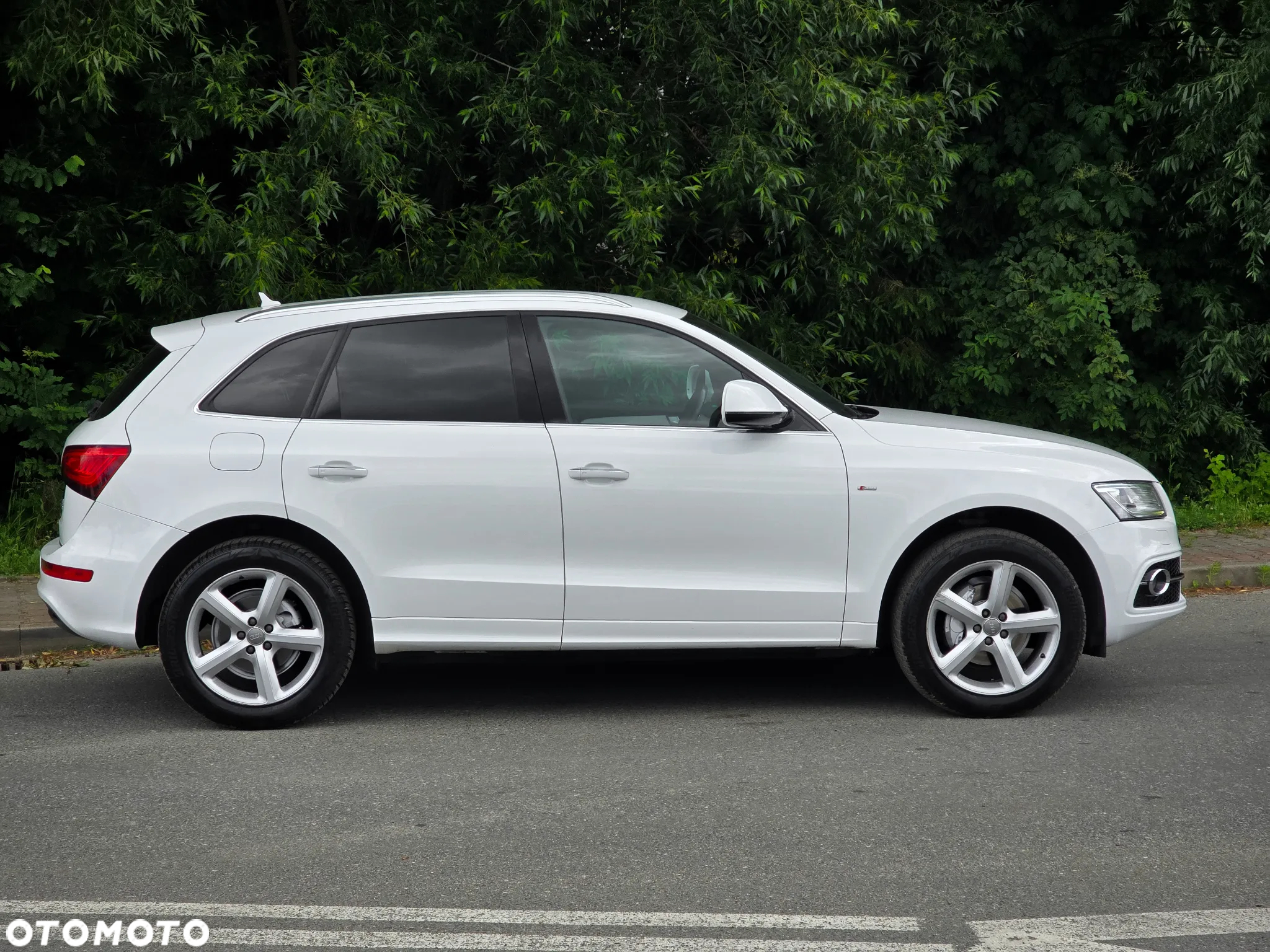 Audi Q5 2.0 TDI clean diesel Quattro S tronic - 16