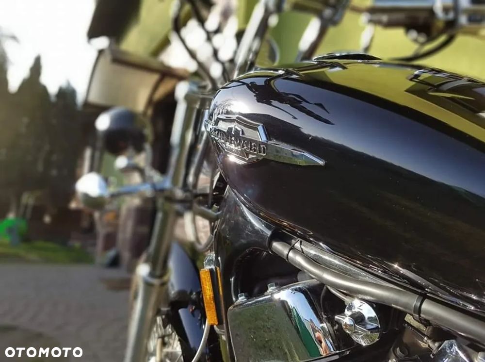 Suzuki Intruder - 6