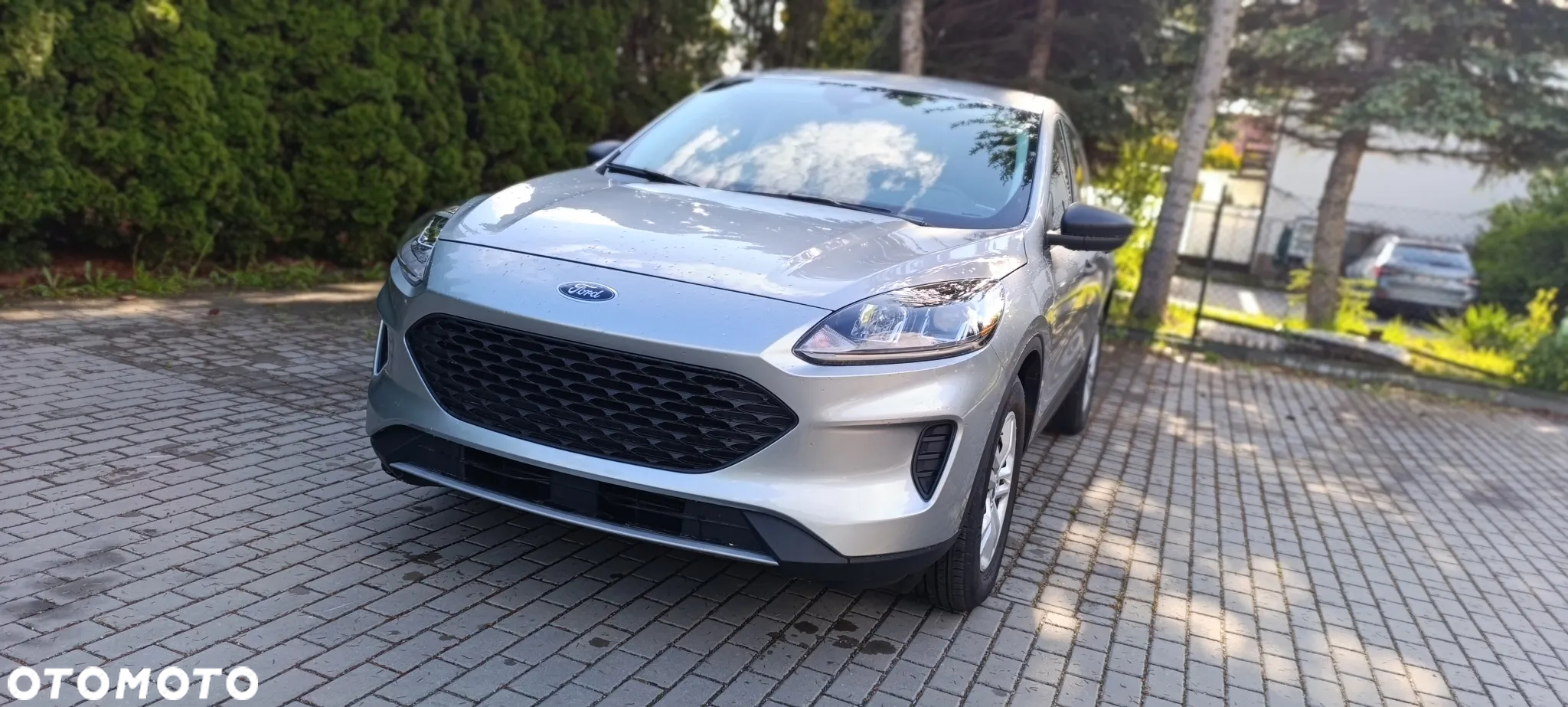 Ford Kuga 1.5 EcoBoost AWD Trend ASS - 19
