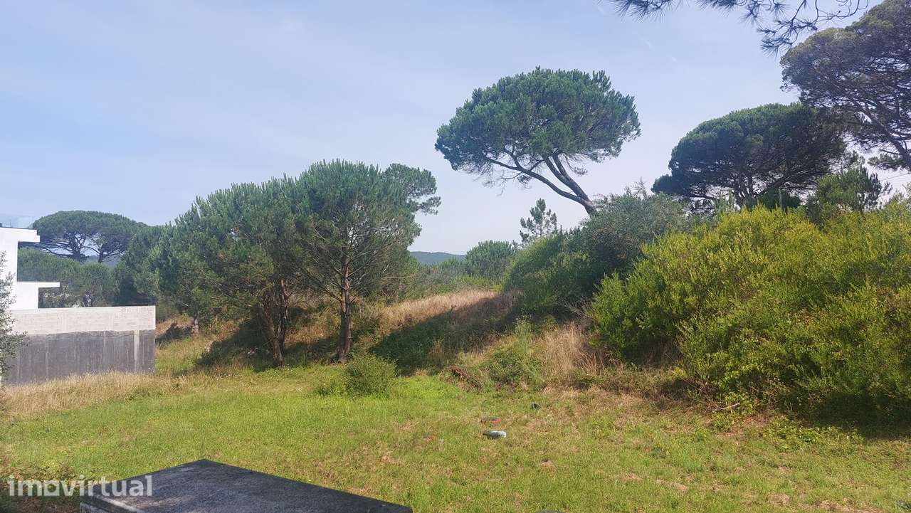 Terreno  Venda em Darque,Viana do Castelo - Grande imagem: 5/14