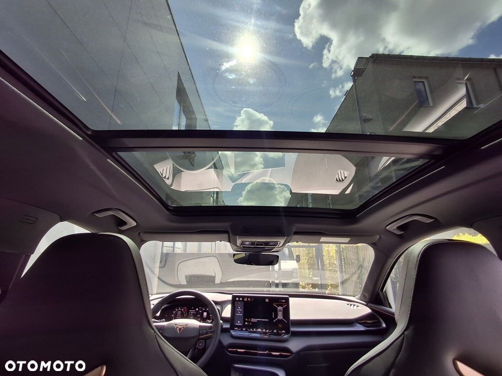 Cupra Terramar 2.0 TSI 4Drive DSG - 22