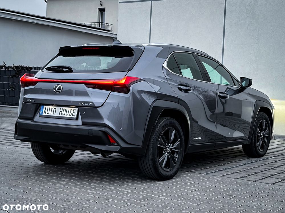 Lexus UX 250h Executive Line - 8