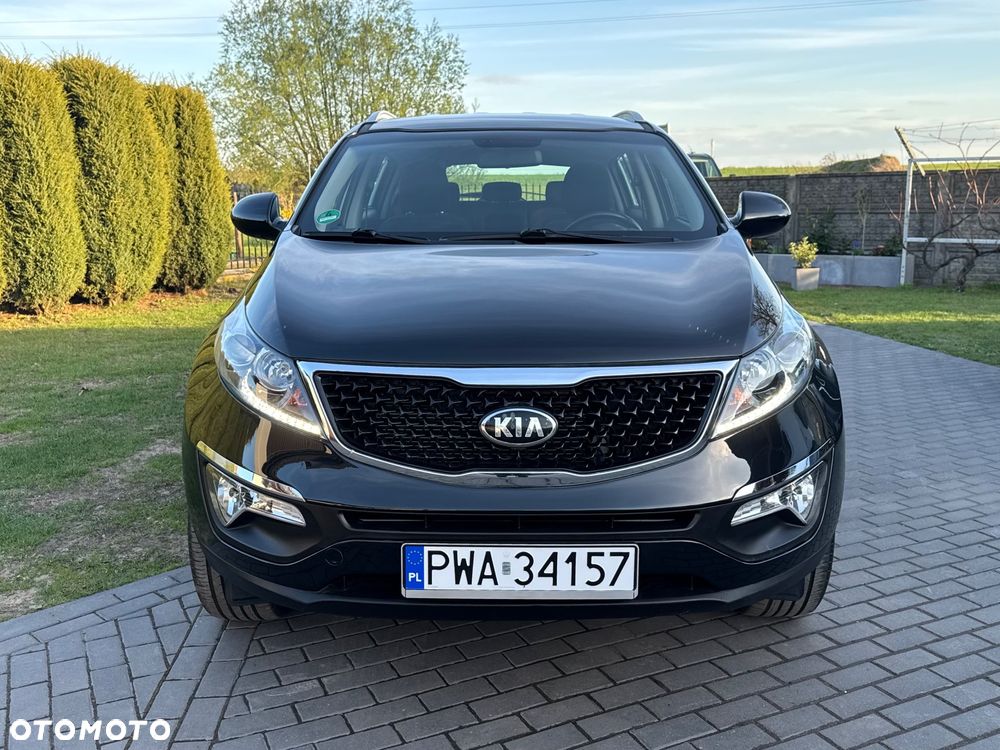 Kia Sportage - 16