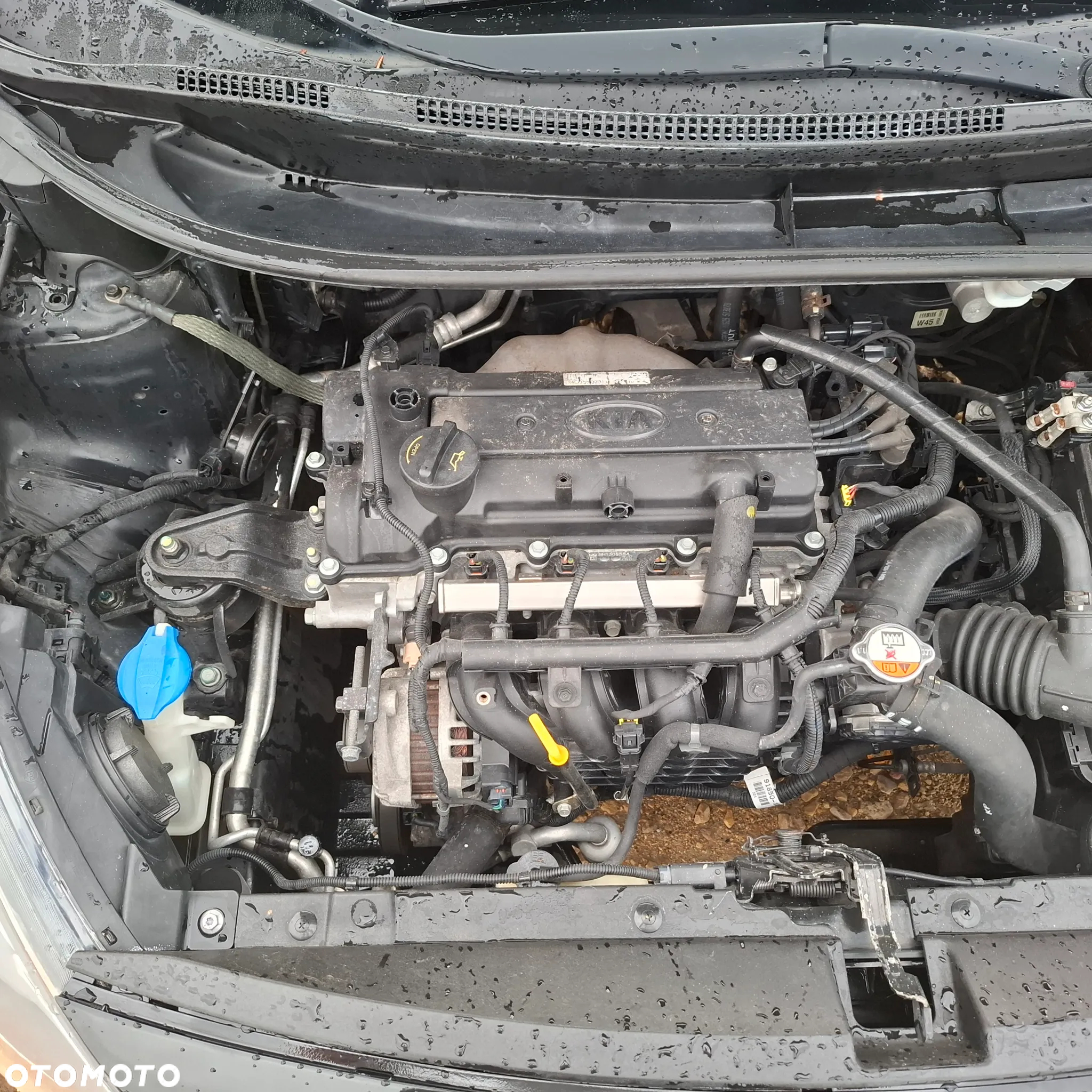 Kia Rio 1.2 Edition 7 - 3