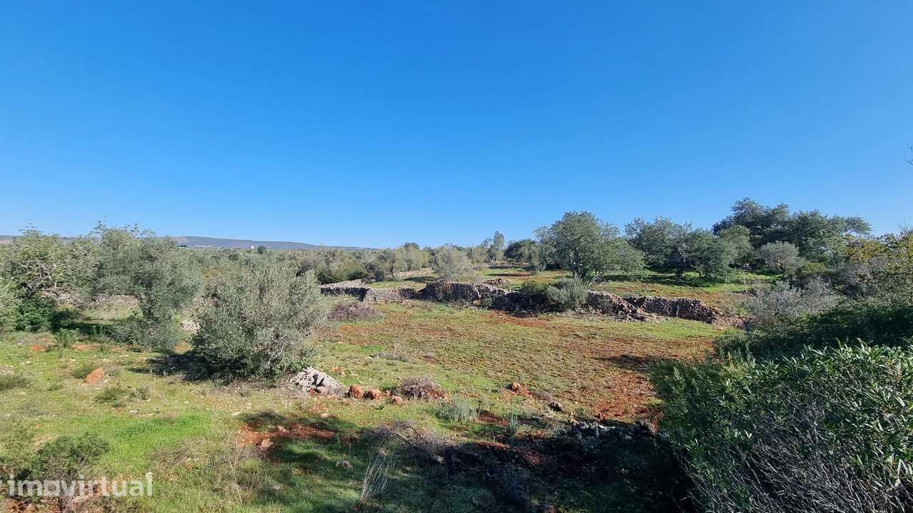 Terreno com 2720 m2 a 12min de Albufeira - DISPONIVEL - Grande imagem: 3/7