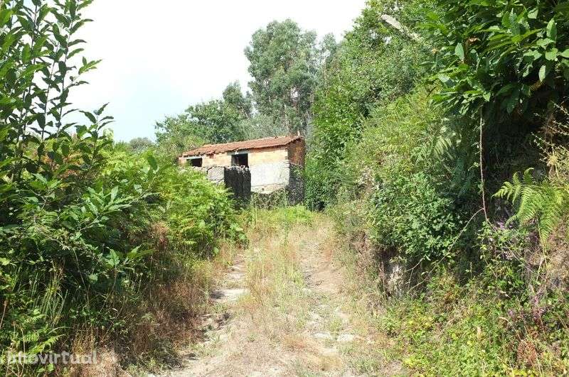 Oportunidade: Moradia para Renovar em Tregosa - Grande imagem: 3/10