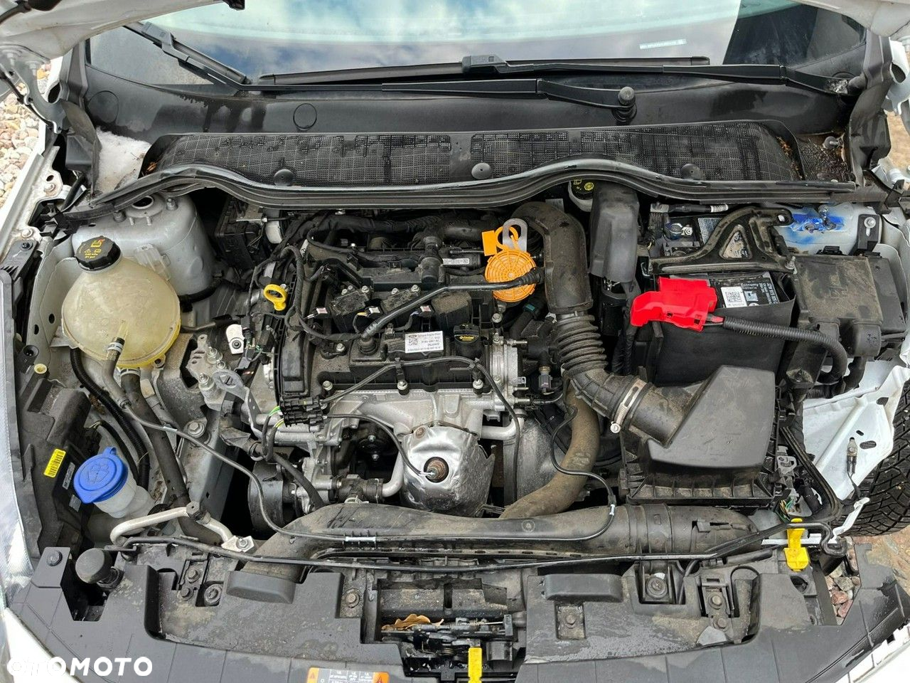 Ford Fiesta - 16