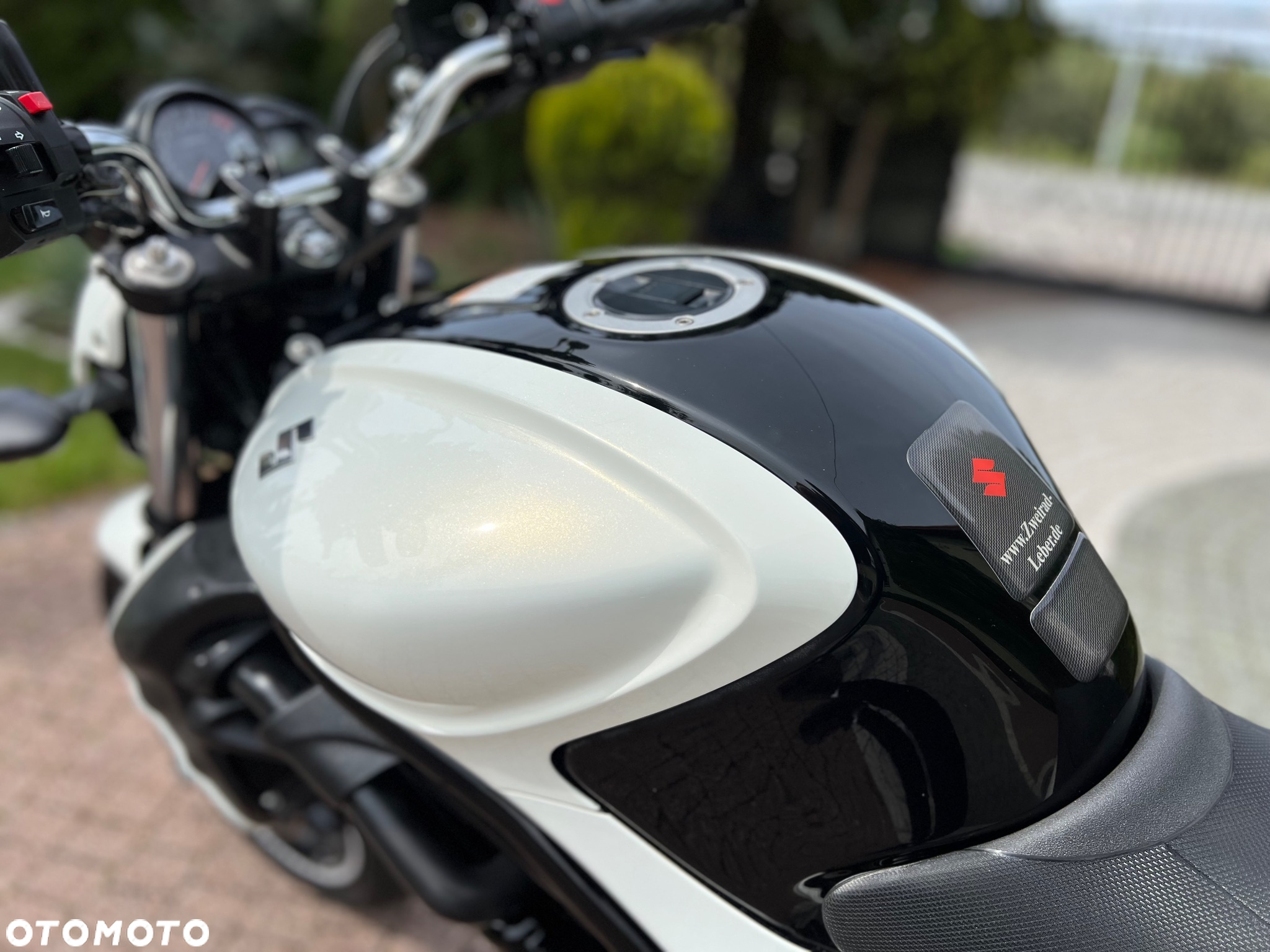 Suzuki Gladius - 31