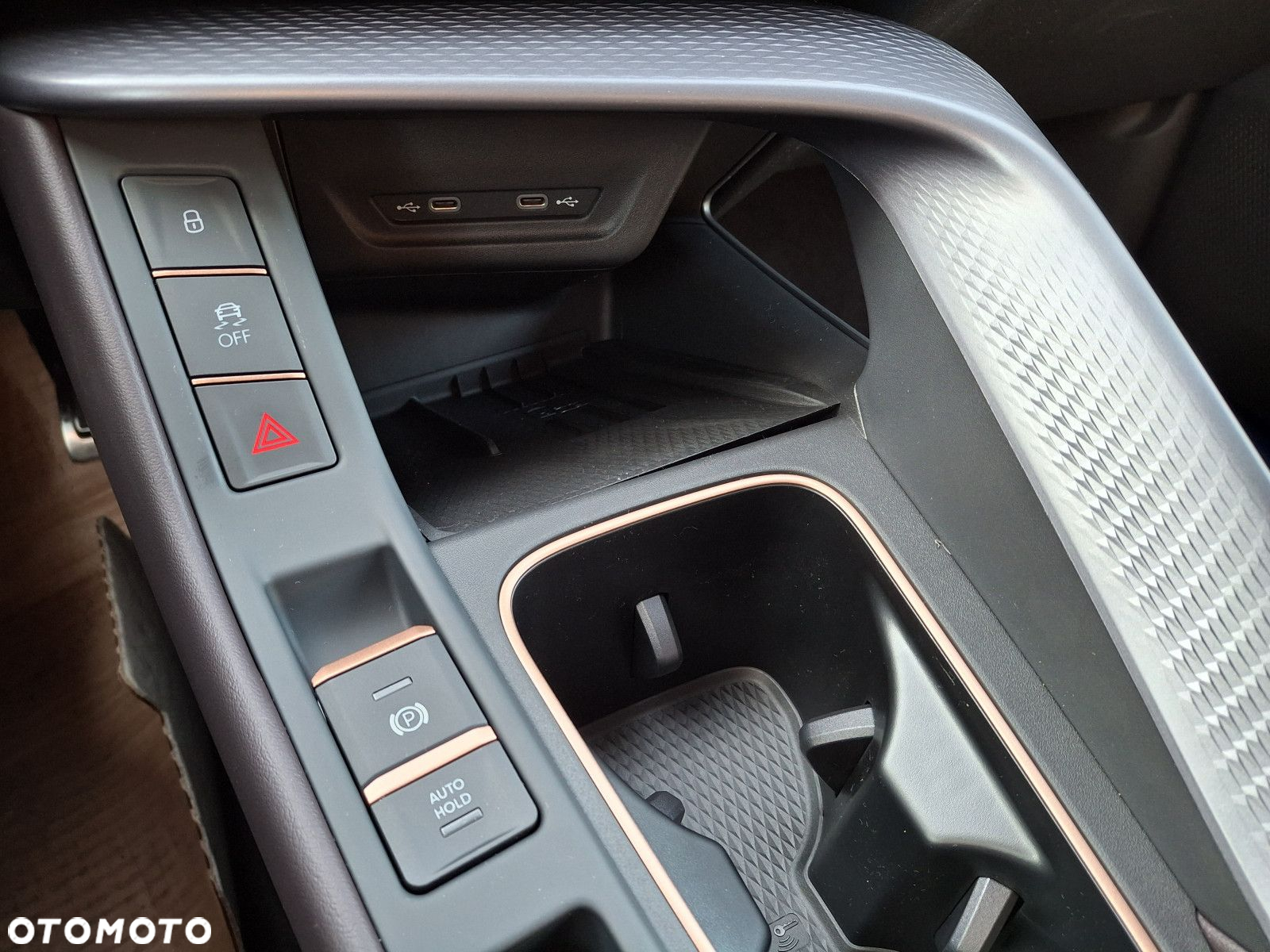 Cupra Terramar - 11