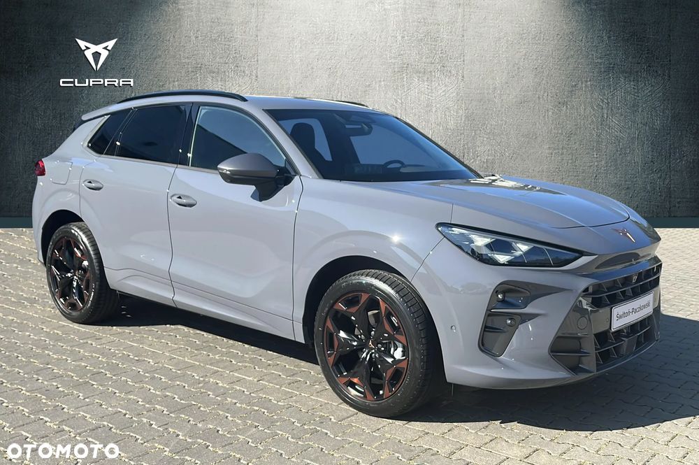 Cupra Terramar - 4