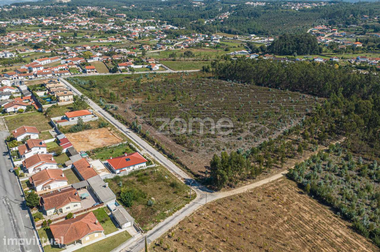Terreno de 36892m² com PIP aprovado em Oliveira de Azeméis - Grande imagem: 3/16