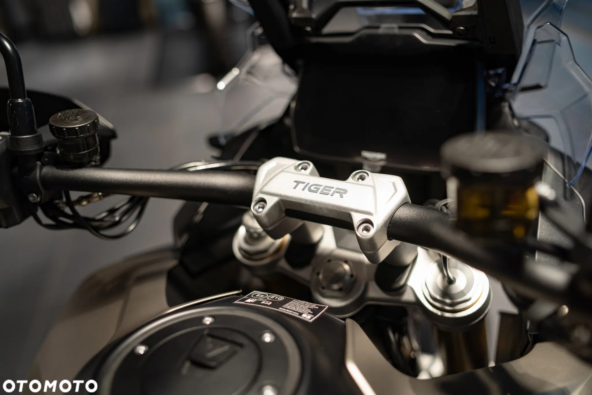 Triumph Tiger - 15