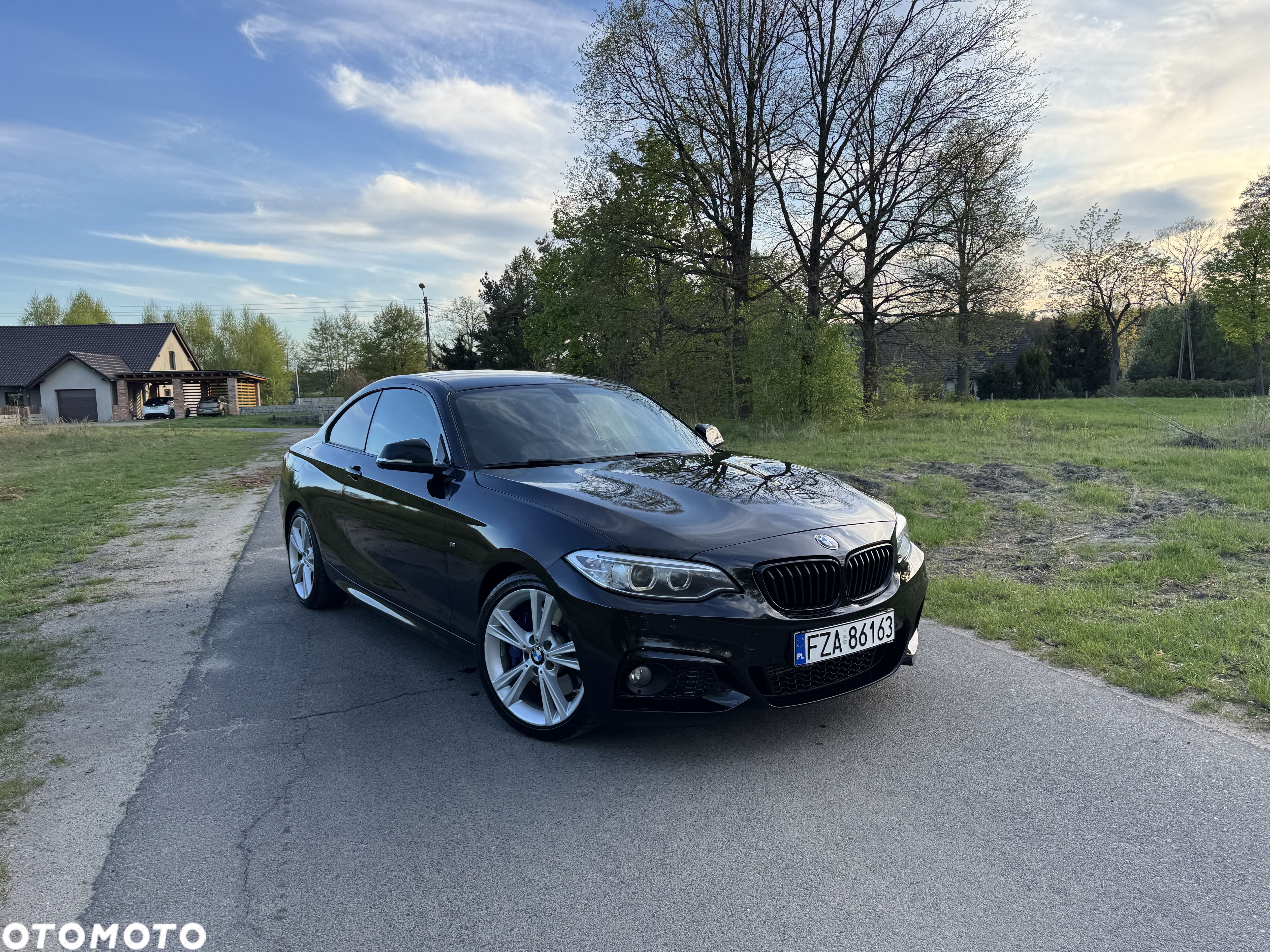 BMW Seria 2 220d Coupe - 1