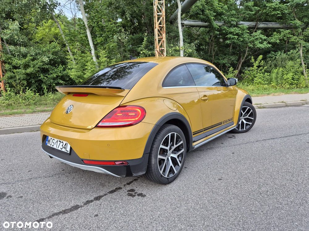 Volkswagen Beetle - 17