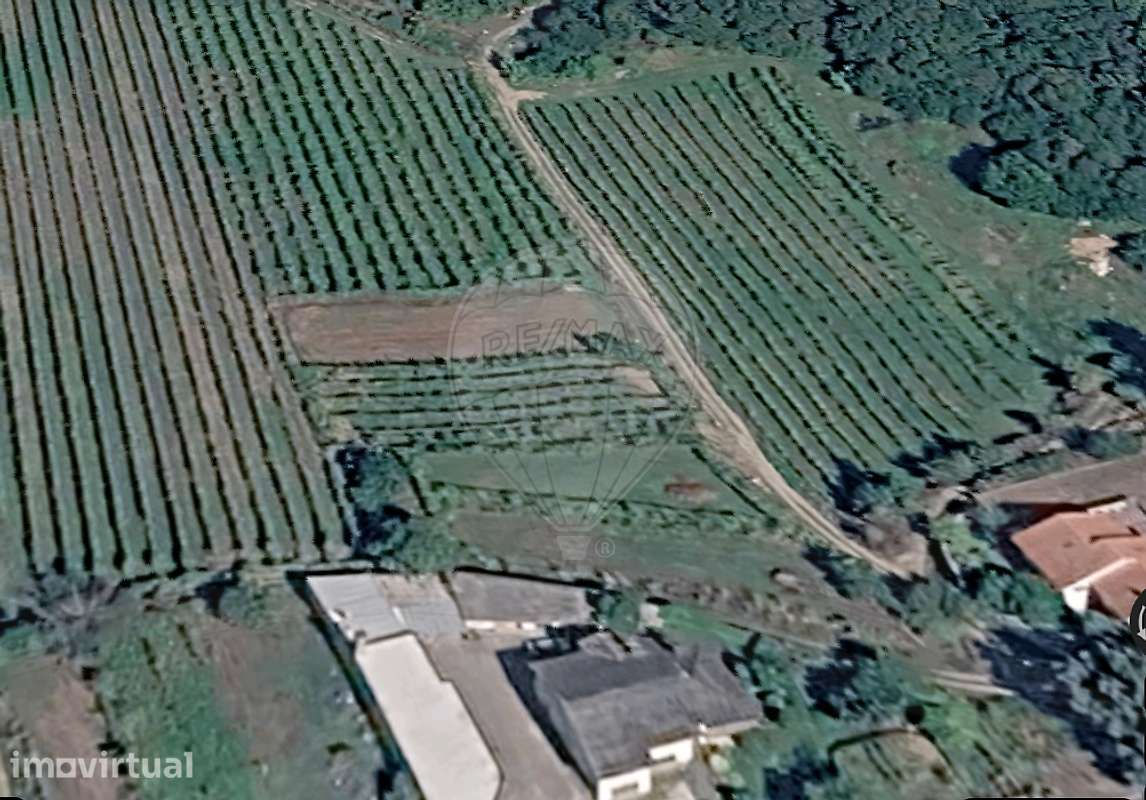 Terreno  para venda - Grande imagem: 2/16