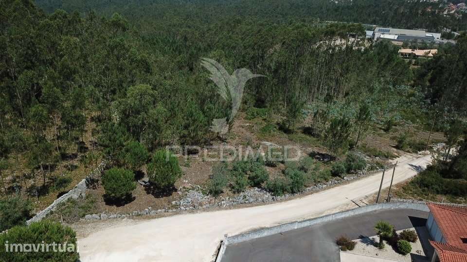 Terreno urbanizável com 1.570 m² | Perulheira – São Mamede - Grande imagem: 2/10