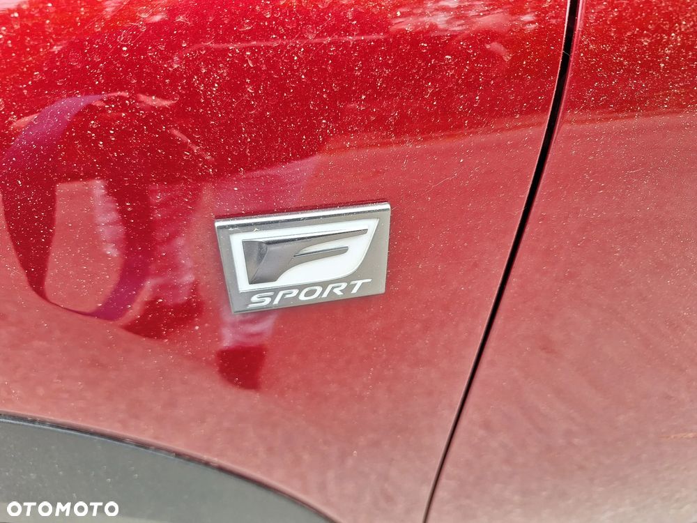 Lexus NX 300 Executive Line - 16