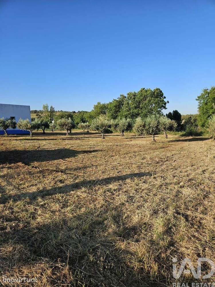 Loja / Estabelecimento Comercial em Vidigueira de 181,00 m2 - Grande imagem: 4/5