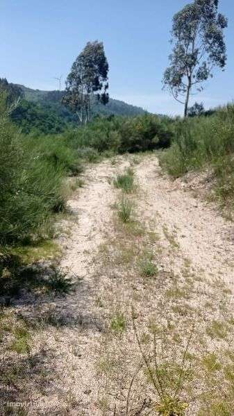 Terreno em Fafe com perto de 100 000 m2 - Grande imagem: 3/8