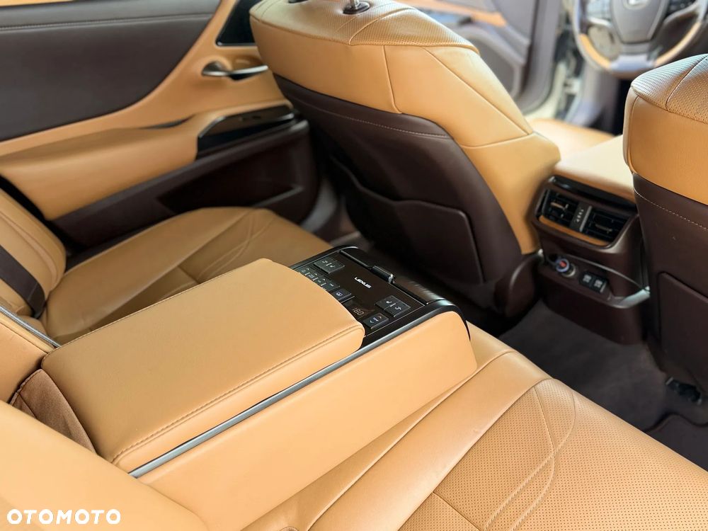 Lexus ES 300h Omotenashi - 15