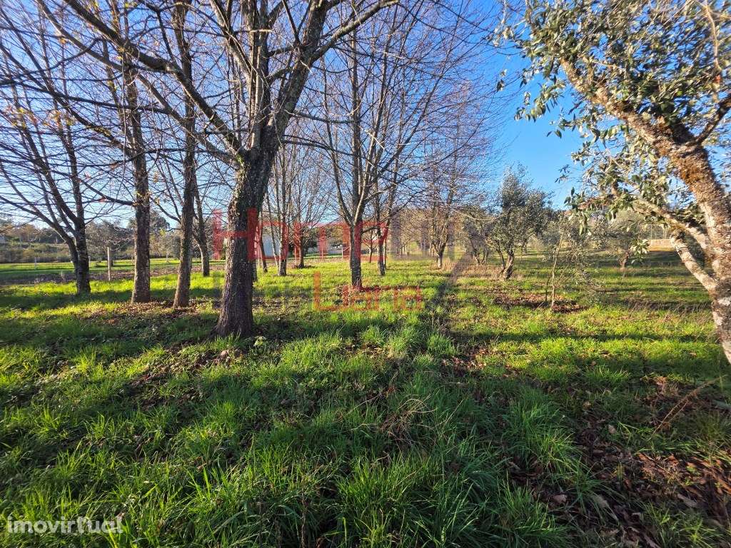 Terreno para venda em Vila Nova de Barreiros - Grande imagem: 5/16