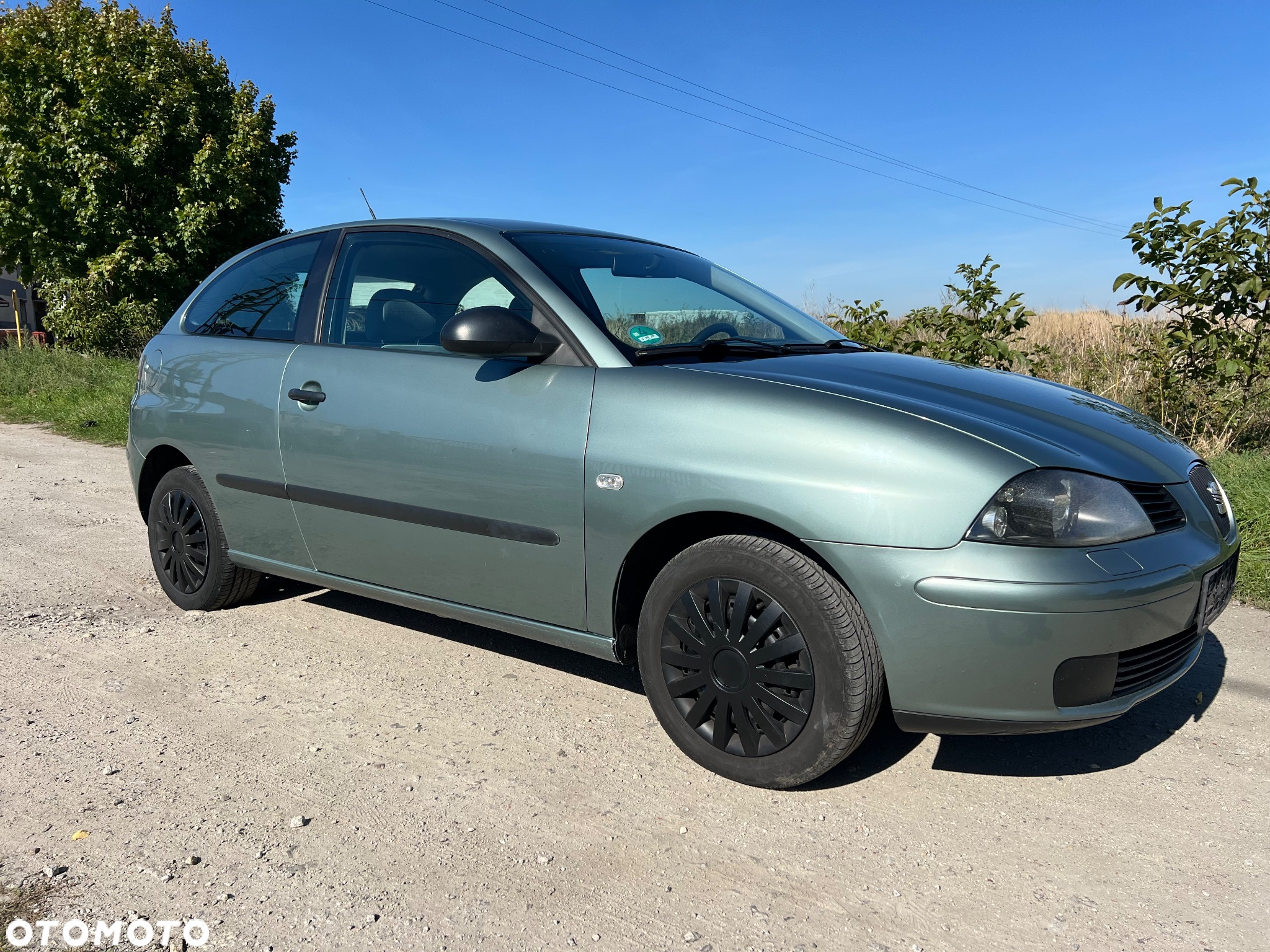 Seat Ibiza - 3