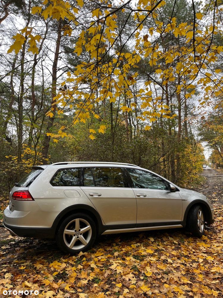Volkswagen Golf Alltrack - 4
