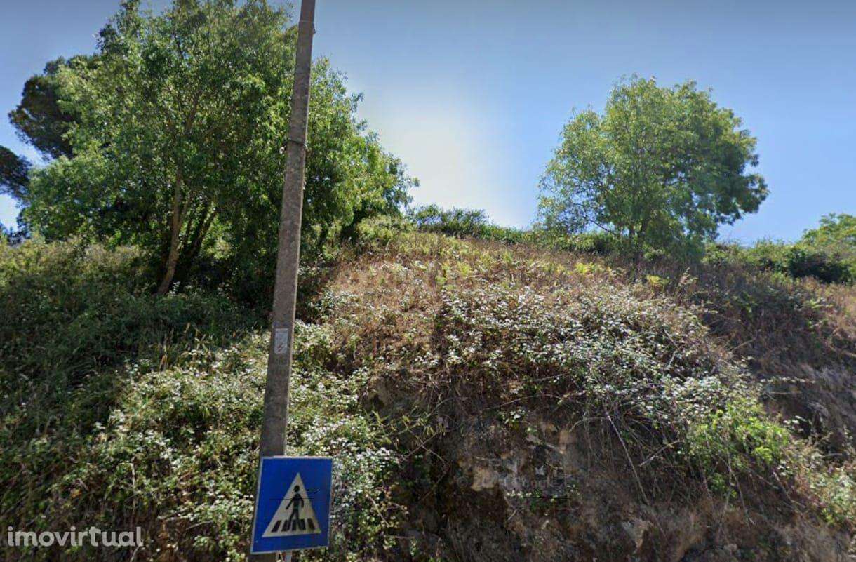 Terreno Rústico em Sintra: Localização Privilegiada e Tranquila- Almar - Grande imagem: 5/9