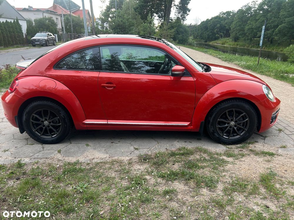 Volkswagen Beetle - 39