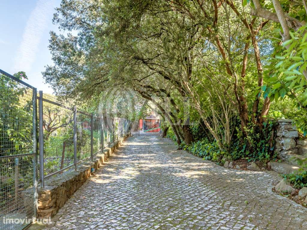 Terreno para construção em Birre - Grande imagem: 3/19