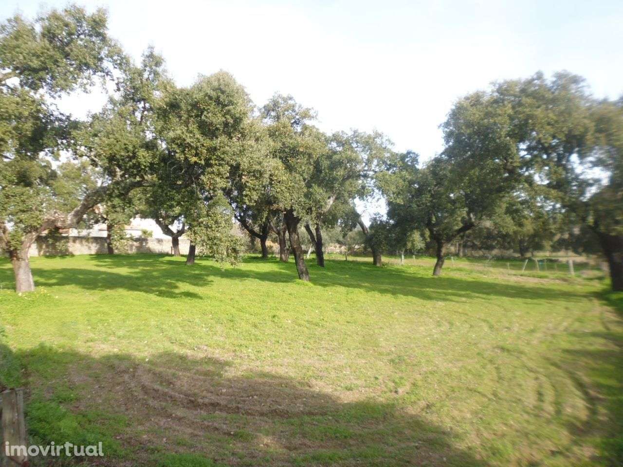 Quinta - Grande imagem: 2/8