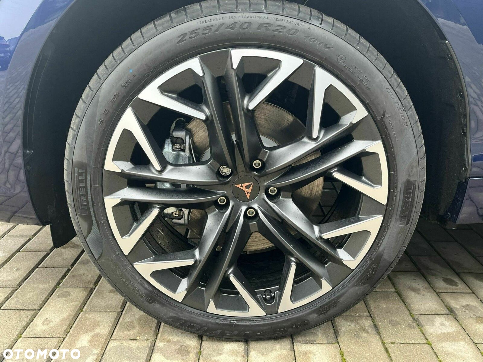 Cupra Terramar - 12