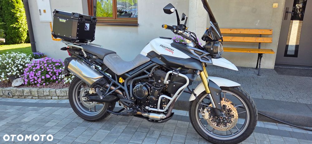 Triumph Tiger - 7