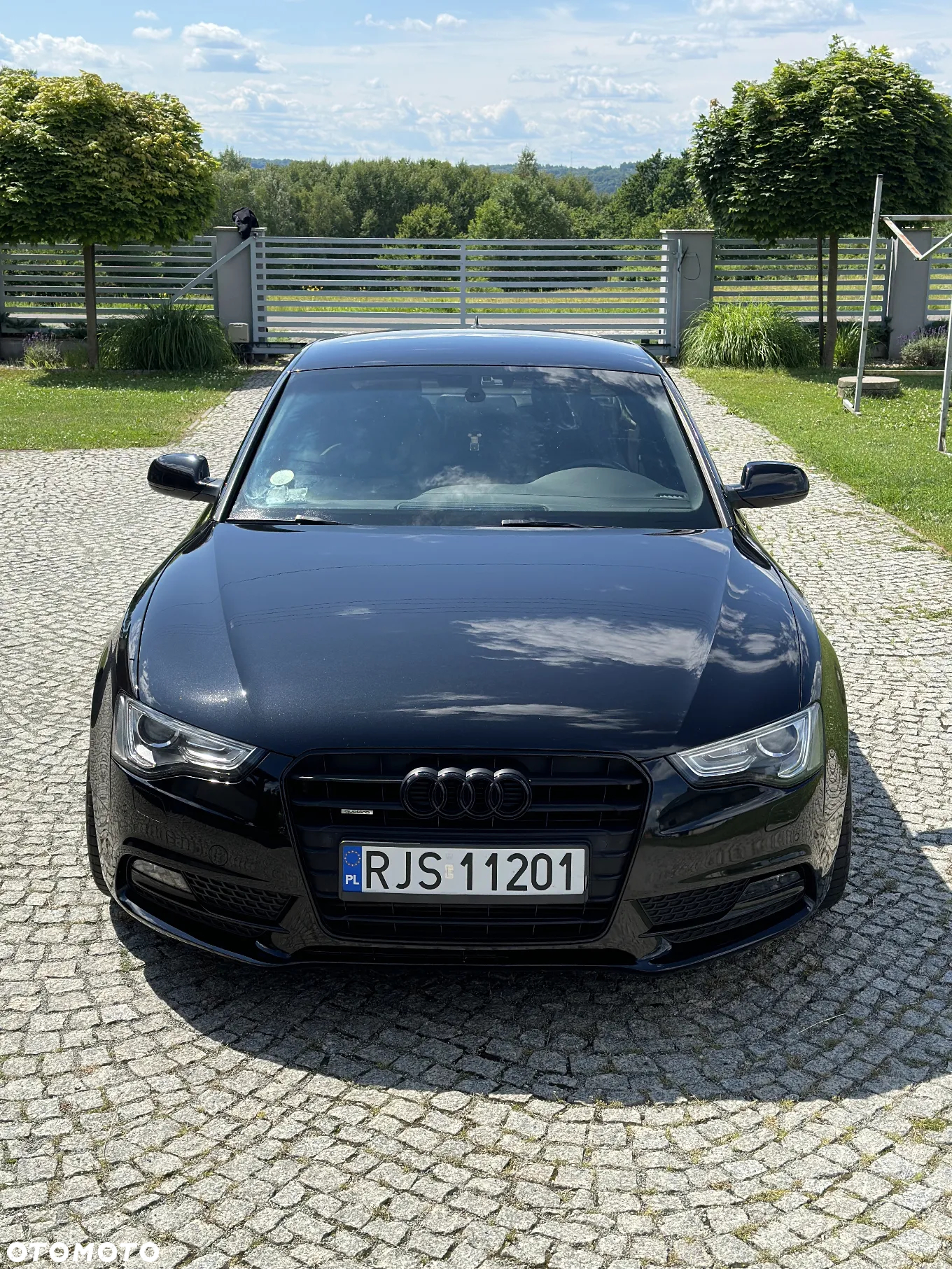 Audi A5 2.0 TDI DPF quattro S tronic - 3