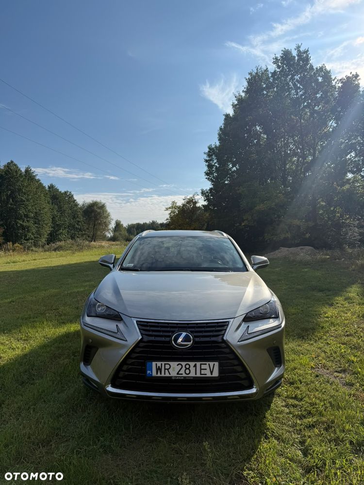 Lexus Nx 2021 photo 3